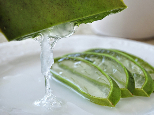 aloevera